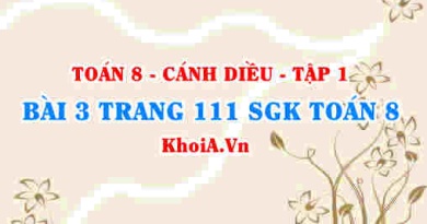 Bài 3 trang 111 SGK Toán 8 tập 1 Cánh Diều